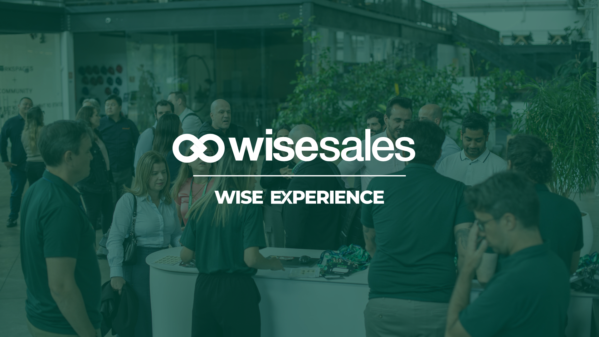 Insights Wise Experience 2025
